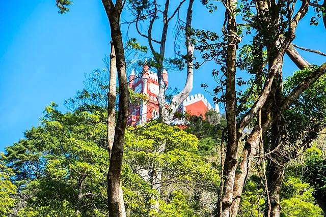 De rode toren van het Paleis van Pena boven de bomen van het park van Pena