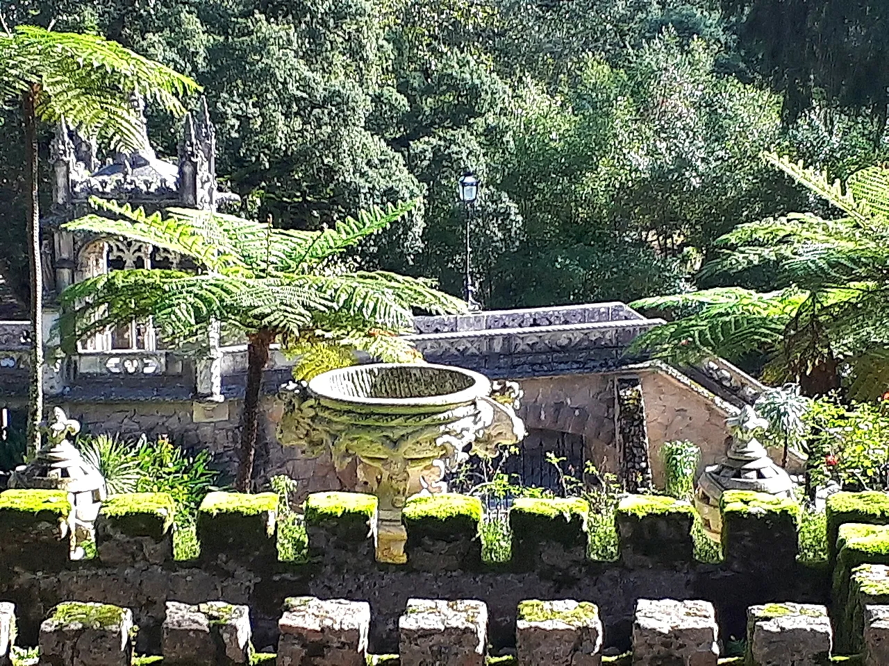 Ein steinernes Brunnenbecken mit Verzierungen zwischen Farnen in den Gärten der Quinta da Regaleira