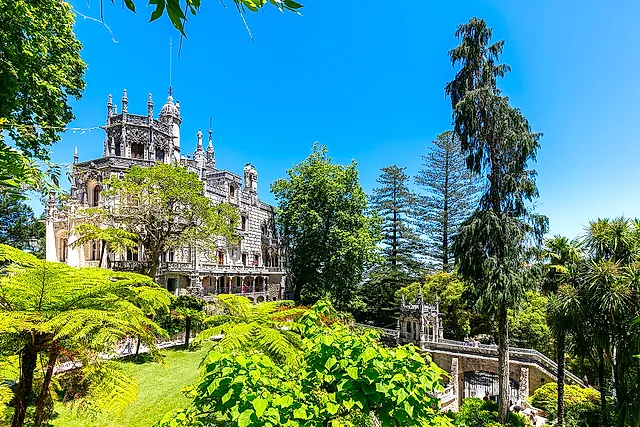 Het paleis van Regaleira tussen boomvarens en hoge bomen in de tuinen van Quinta da Regaleira